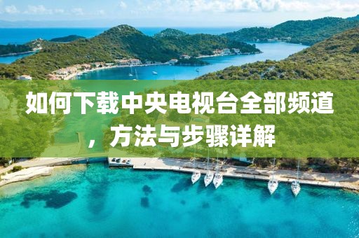 如何下载中央电视台全部频道，方法与步骤详解