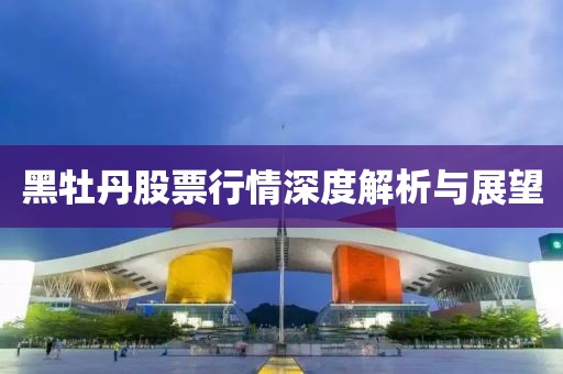 黑牡丹股票行情深度解析与展望