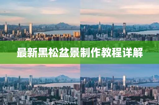 最新黑松盆景制作教程详解