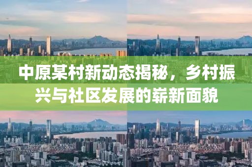 中原某村新动态揭秘，乡村振兴与社区发展的崭新面貌