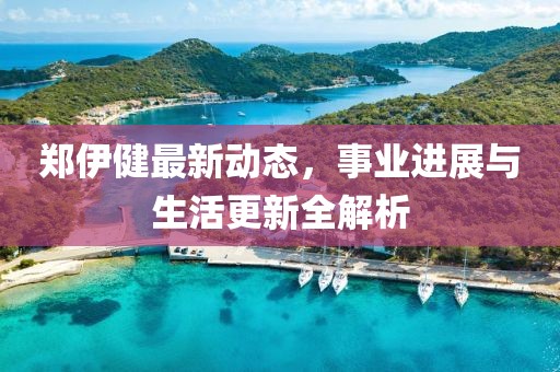 郑伊健最新动态，事业进展与生活更新全解析