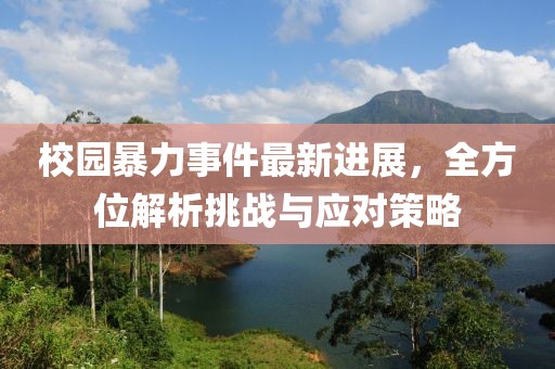 校园暴力事件最新进展，全方位解析挑战与应对策略