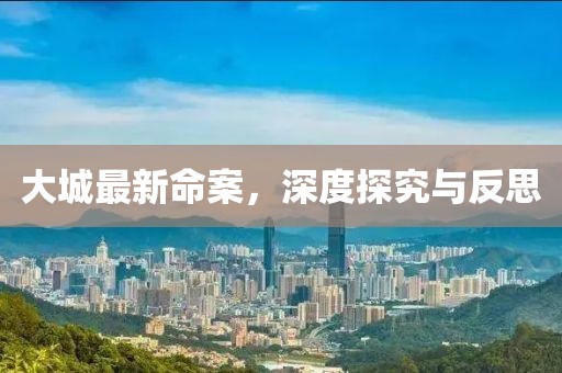 大城最新命案，深度探究与反思