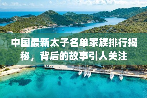 中国最新太子名单家族排行揭秘，背后的故事引人关注