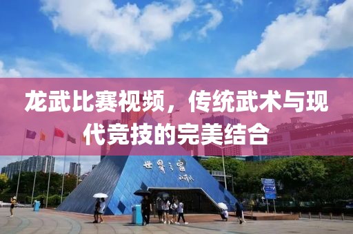 龙武比赛视频，传统武术与现代竞技的完美结合