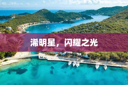 浠明星，闪耀之光