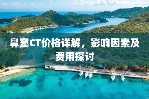 鼻窦CT价格详解，影响因素及费用探讨