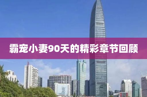 霸宠小妻90天的精彩章节回顾