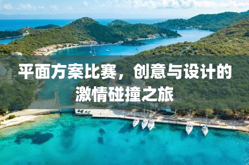 平面方案比赛，创意与设计的激情碰撞之旅