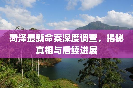 菏泽最新命案深度调查，揭秘真相与后续进展