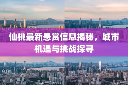 仙桃最新悬赏信息揭秘，城市机遇与挑战探寻