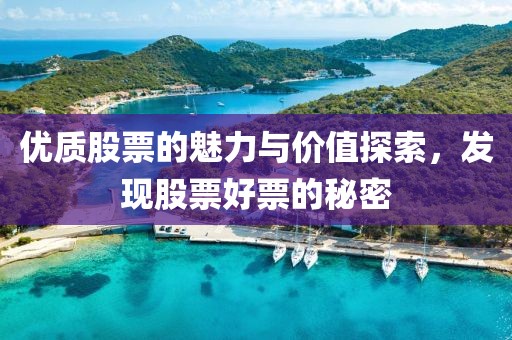 优质股票的魅力与价值探索，发现股票好票的秘密