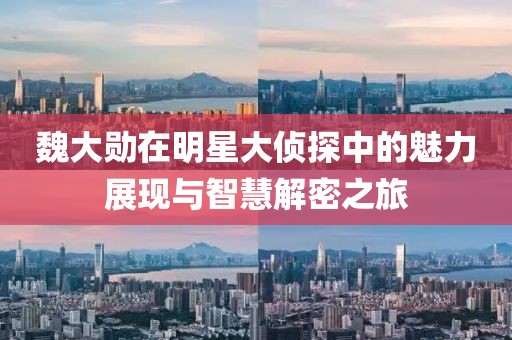 魏大勋在明星大侦探中的魅力展现与智慧解密之旅