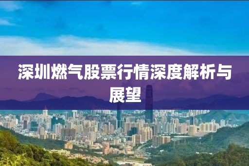 深圳燃气股票行情深度解析与展望