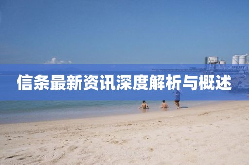 信条最新资讯深度解析与概述