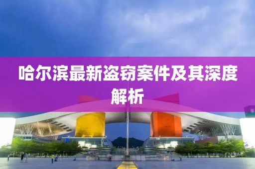 哈尔滨最新盗窃案件及其深度解析