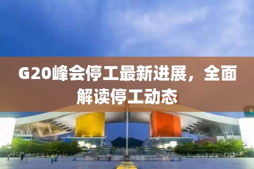 G20峰会停工最新进展，全面解读停工动态