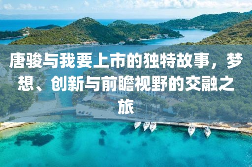 唐骏与我要上市的独特故事，梦想、创新与前瞻视野的交融之旅