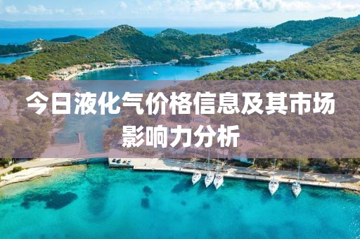 今日液化气价格信息及其市场影响力分析