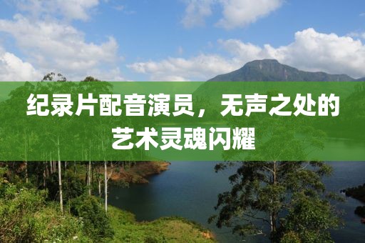 纪录片配音演员，无声之处的艺术灵魂闪耀