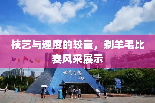 技艺与速度的较量，剃羊毛比赛风采展示