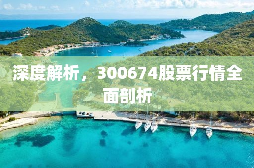 深度解析，300674股票行情全面剖析