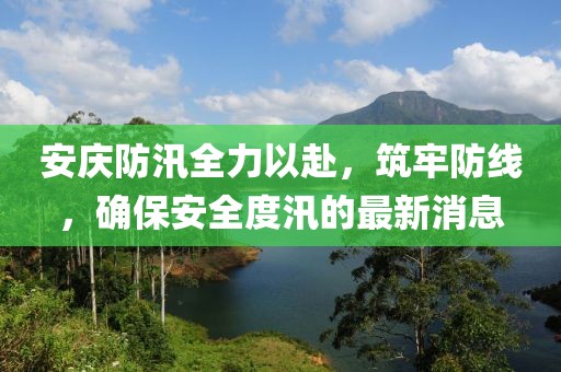 安庆防汛全力以赴，筑牢防线，确保安全度汛的最新消息