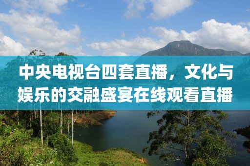 中央电视台四套直播，文化与娱乐的交融盛宴在线观看直播