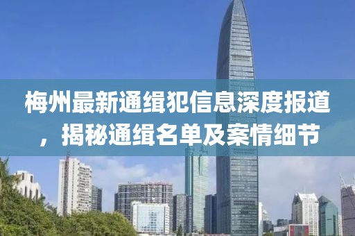 梅州最新通缉犯信息深度报道，揭秘通缉名单及案情细节