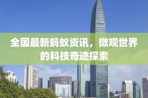 巧远悦 第3页