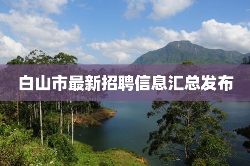 猫七 第4页