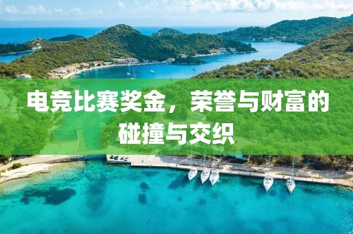 电竞比赛奖金，荣誉与财富的碰撞与交织