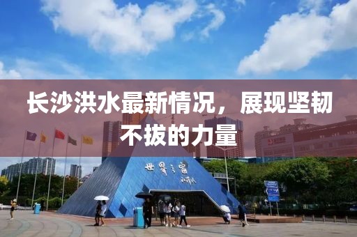 长沙洪水最新情况，展现坚韧不拔的力量