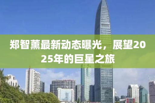 郑智薰最新动态曝光，展望2025年的巨星之旅