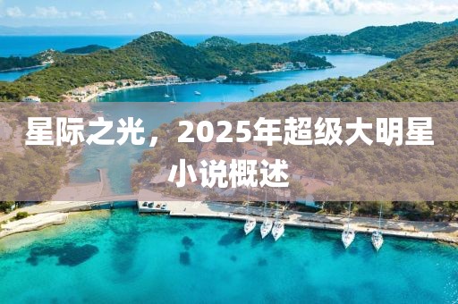 星际之光，2025年超级大明星小说概述