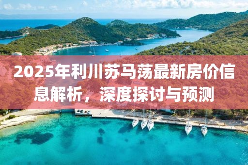 2025年利川苏马荡最新房价信息解析，深度探讨与预测