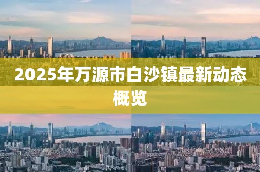 释雨安 第3页