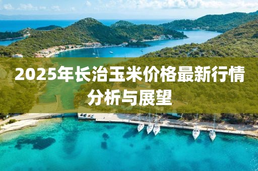 2025年长治玉米价格最新行情分析与展望