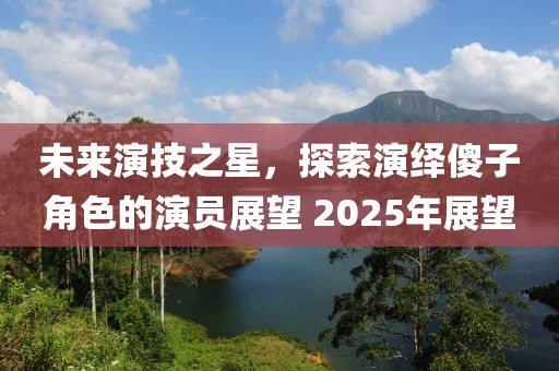 未来演技之星，探索演绎傻子角色的演员展望 2025年展望
