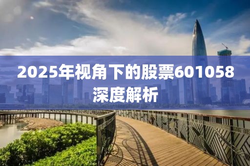 2025年视角下的股票601058深度解析