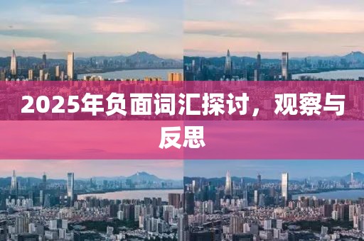 2025年负面词汇探讨，观察与反思