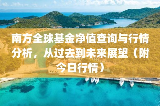 南方全球基金净值查询与行情分析，从过去到未来展望（附今日行情）