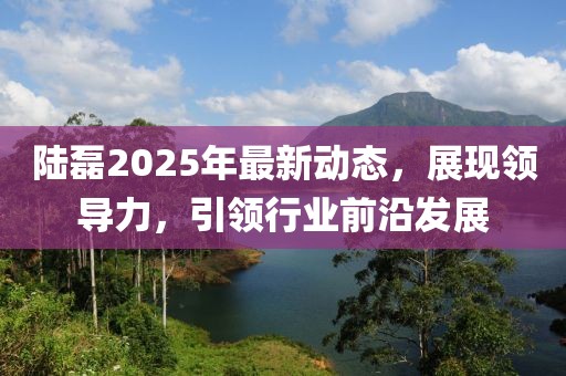 陆磊2025年最新动态，展现领导力，引领行业前沿发展