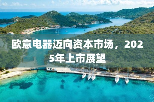 欧意电器迈向资本市场，2025年上市展望
