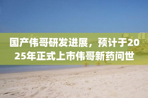 国产伟哥研发进展，预计于2025年正式上市伟哥新药问世