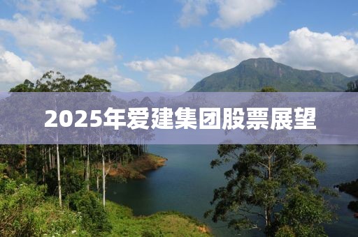 2025年爱建集团股票展望