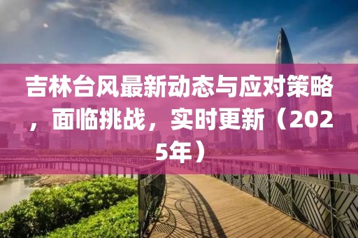 吉林台风最新动态与应对策略，面临挑战，实时更新（2025年）