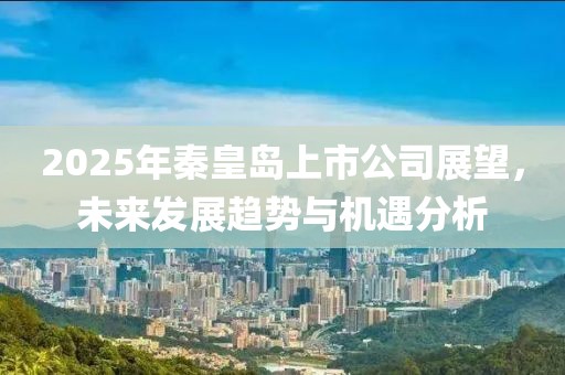 2025年秦皇岛上市公司展望，未来发展趋势与机遇分析