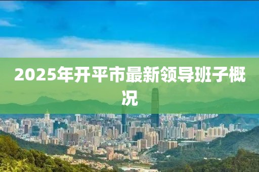 2025年开平市最新领导班子概况
