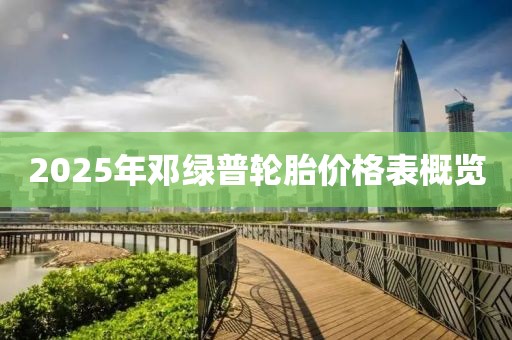 2025年邓绿普轮胎价格表概览